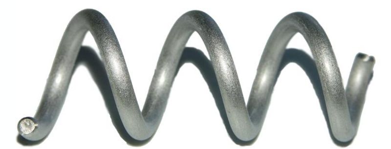 File:Screwcumber2.jpg