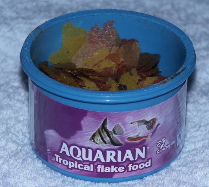 File:Aquarian flake tub1.jpg