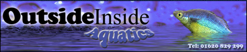 OutsideInside Aquatics Logo1.png