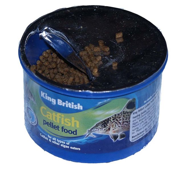 File:Catfish pellet1.jpg