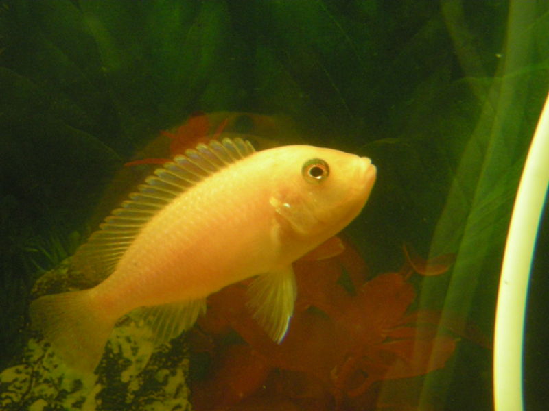 File:Holding Estherae.jpg