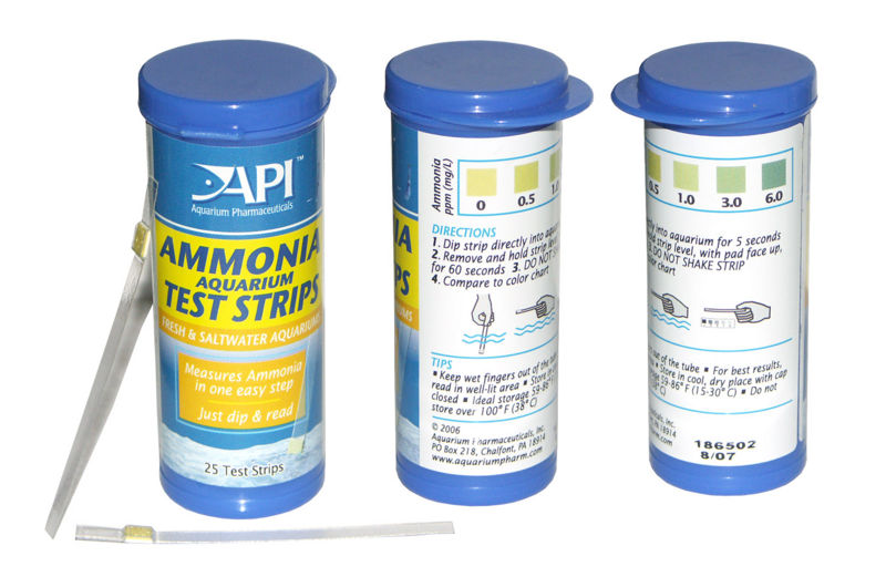 File:API Ammonia Test Strips2.jpg