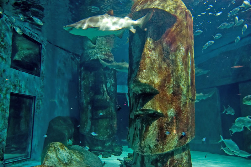 File:Londonaquarium-727.jpg