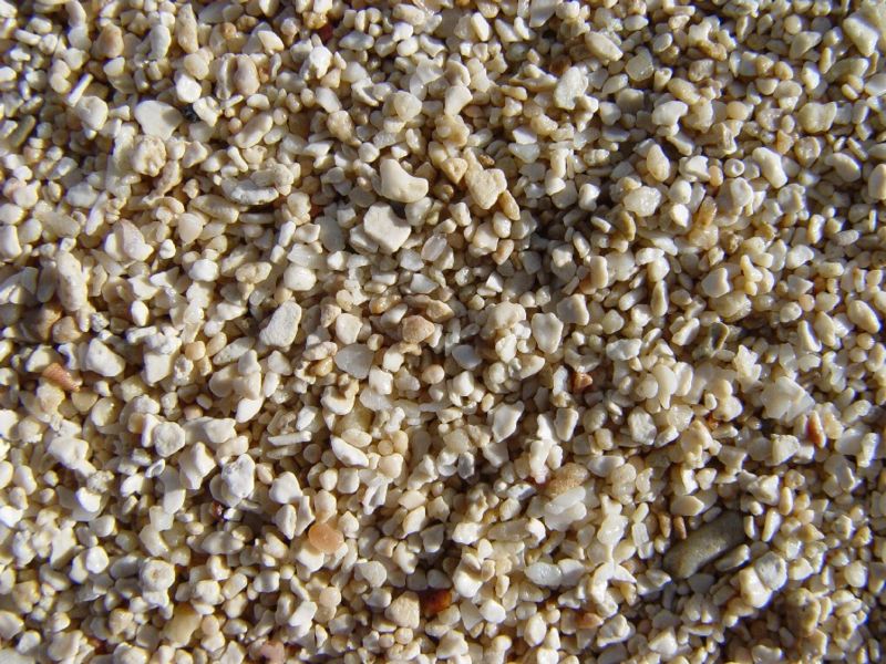 File:Coral sand.jpg