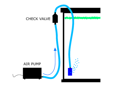 Airpump checkvalve diagram.png