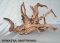 Sumatra driftwood example1.jpg