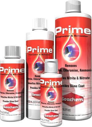 Prime All sizes.jpg