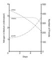 Plant and biological filtration fig3.jpg